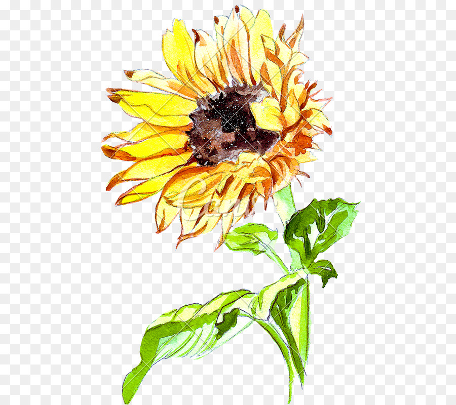 Tournesol，Usine PNG