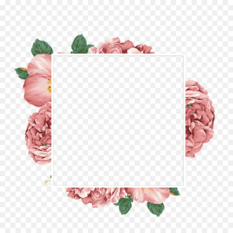 Cadre Photo Floral，Cadre Photo PNG