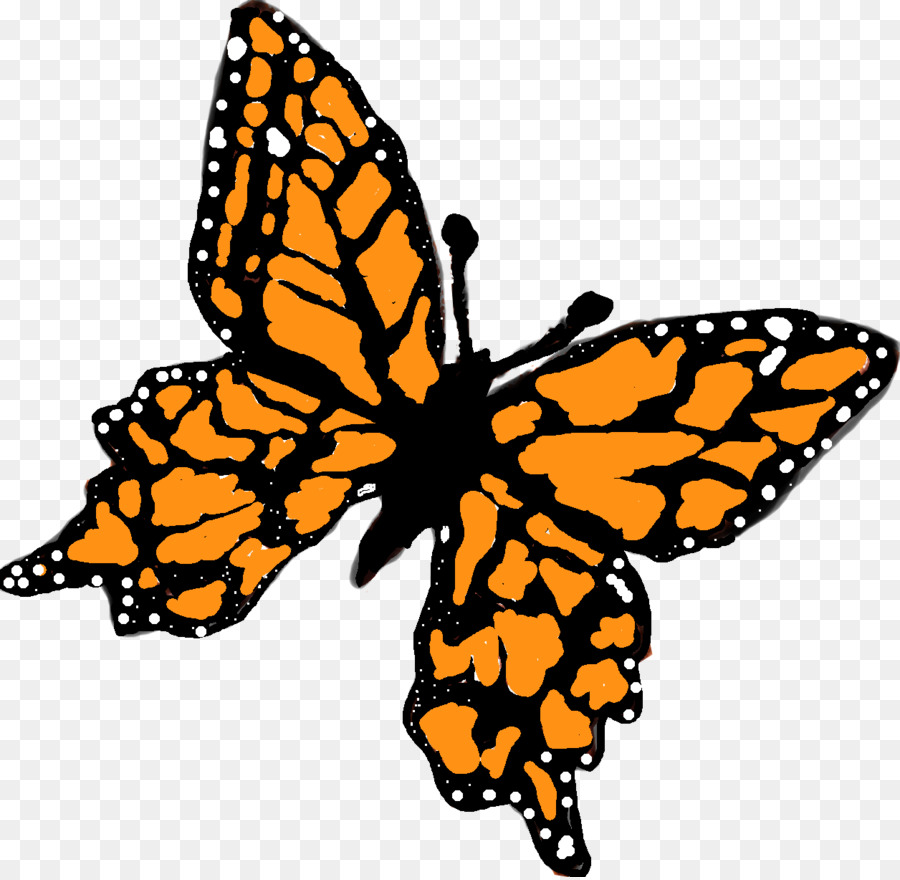 Papillon Orange，Papillon PNG