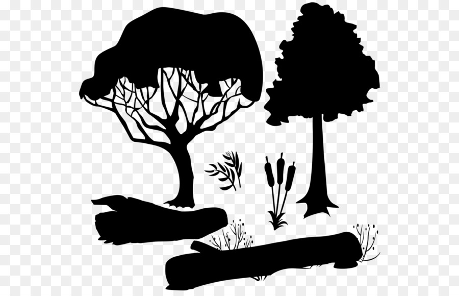 Arbres Et Herbe，Plantes PNG