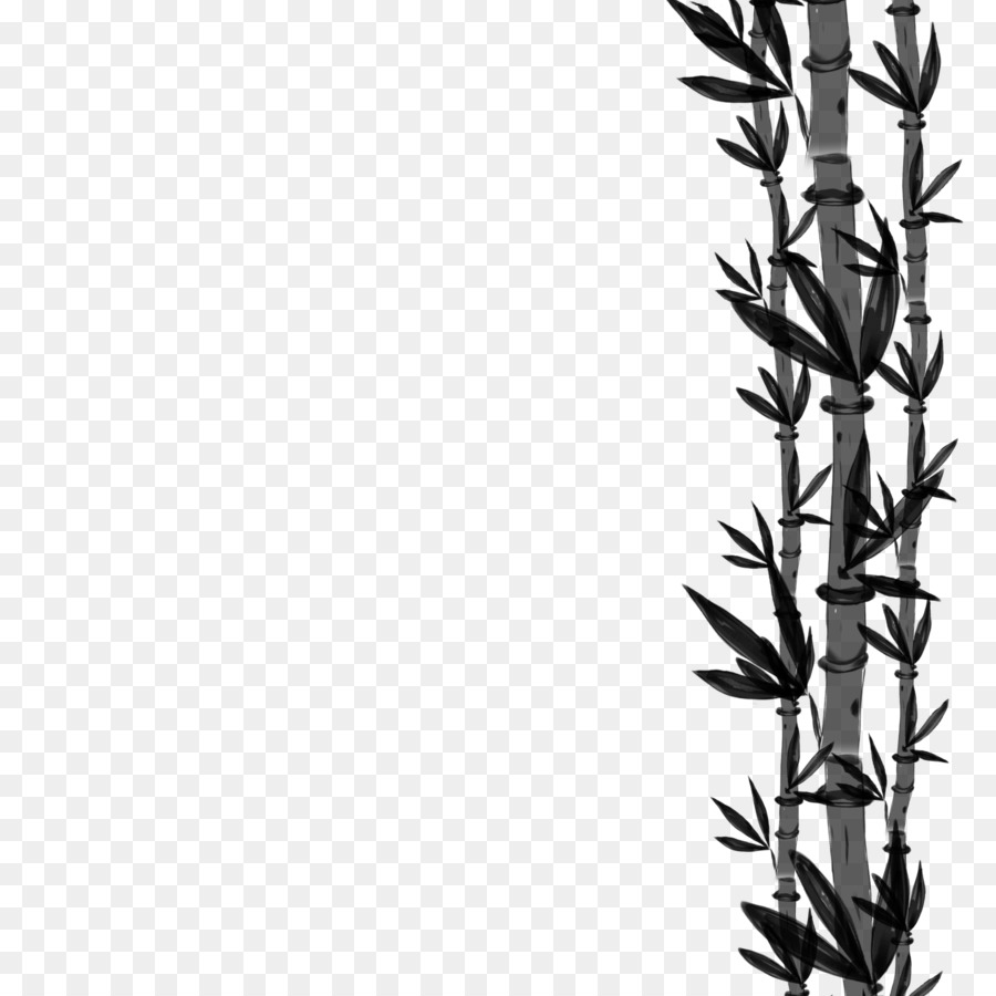 Noir Blanc M，Herbes PNG