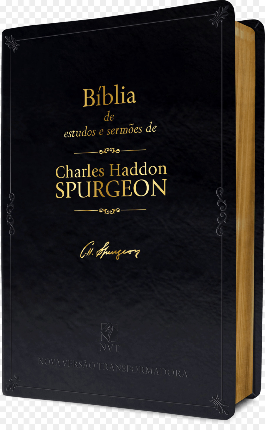 Bible，L'Étude De La Bible PNG