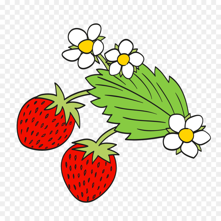 Fraises，Baies PNG