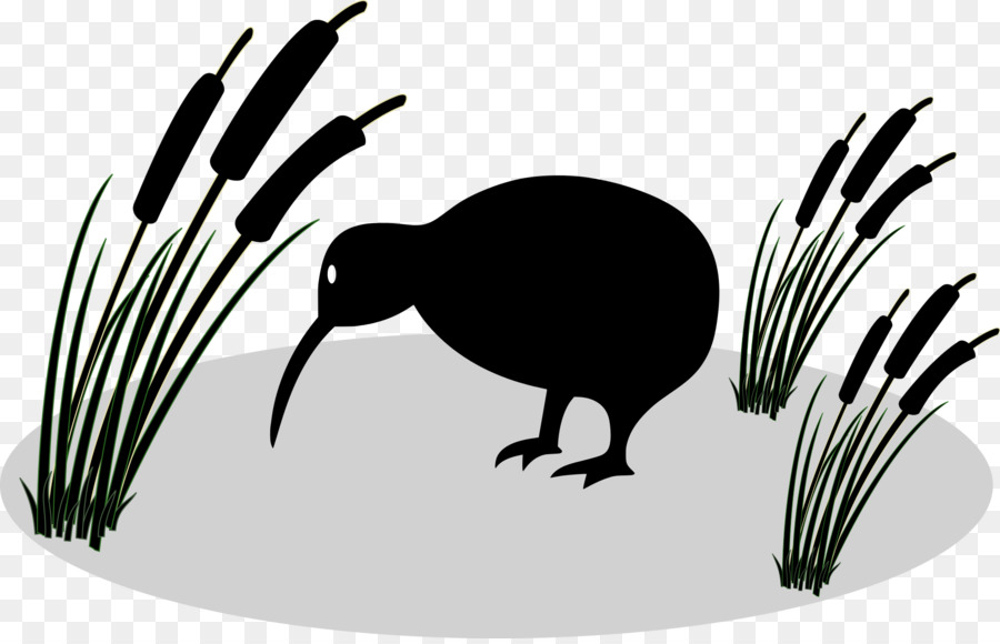 Oiseau，Repéré Peu De Kiwi PNG