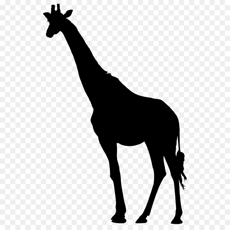 Girafe Bleue，Silhouette PNG