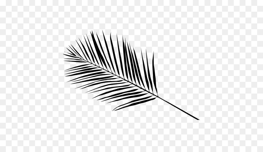 Palme，Fronde PNG