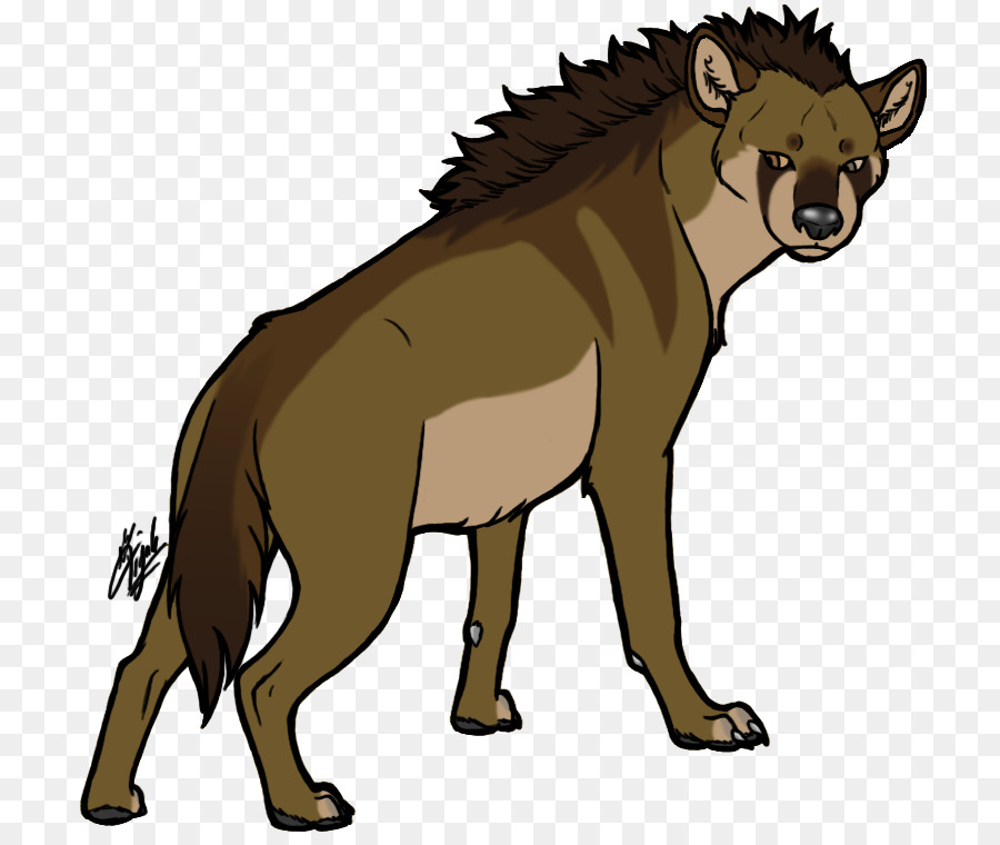 La Hyène，Lion PNG