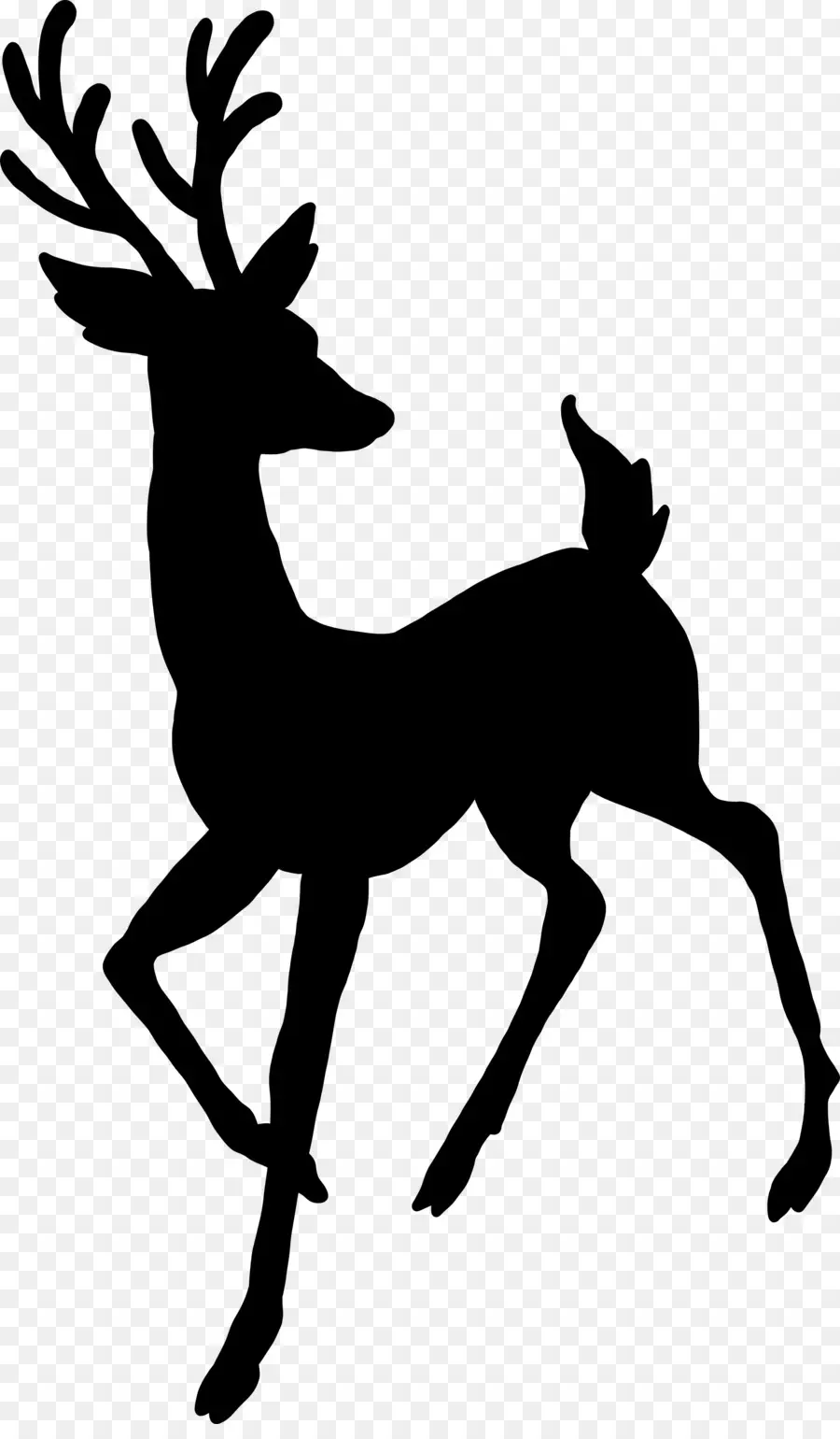 Silhouette De Cerf，Noir PNG