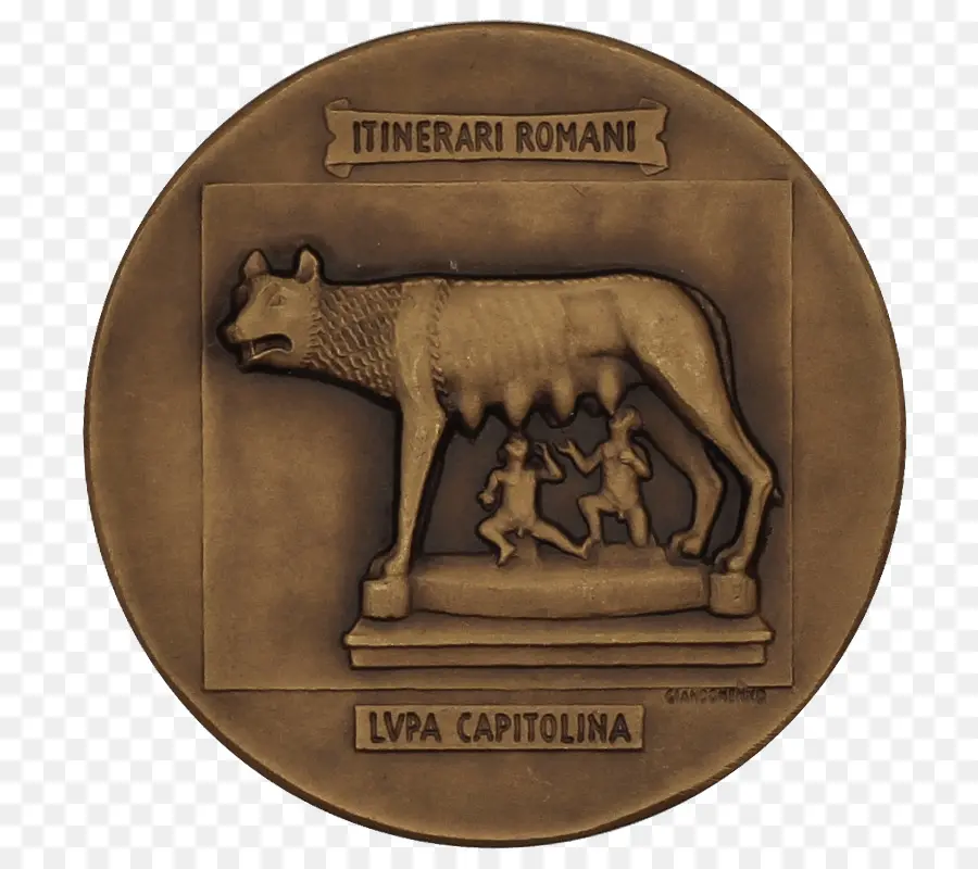 Médaille D'，Animal PNG