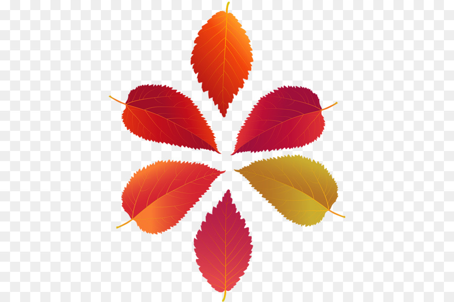 Feuilles，Brun PNG