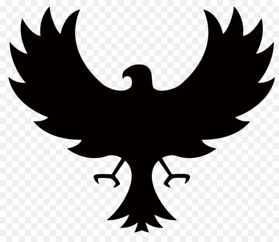 Aigle Silhouette，Noir PNG