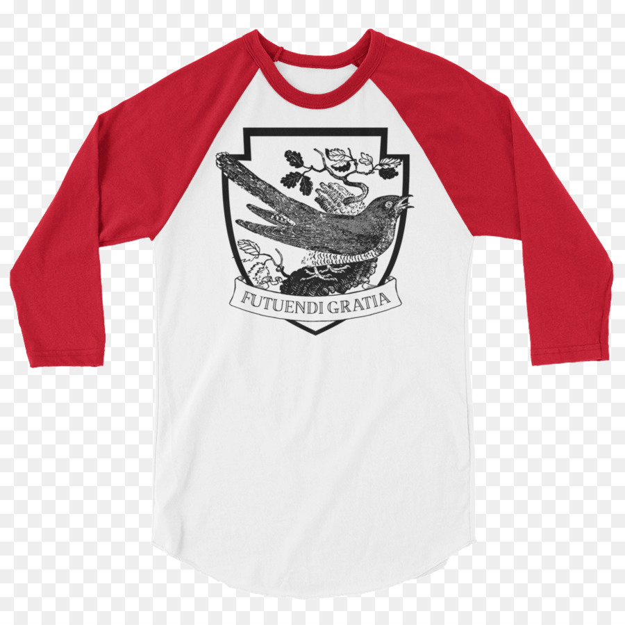 Tshirt，Manches Raglan PNG