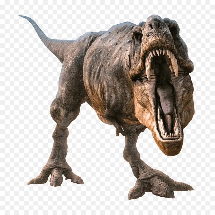 Le Tyrannosaure，Allosaurus PNG