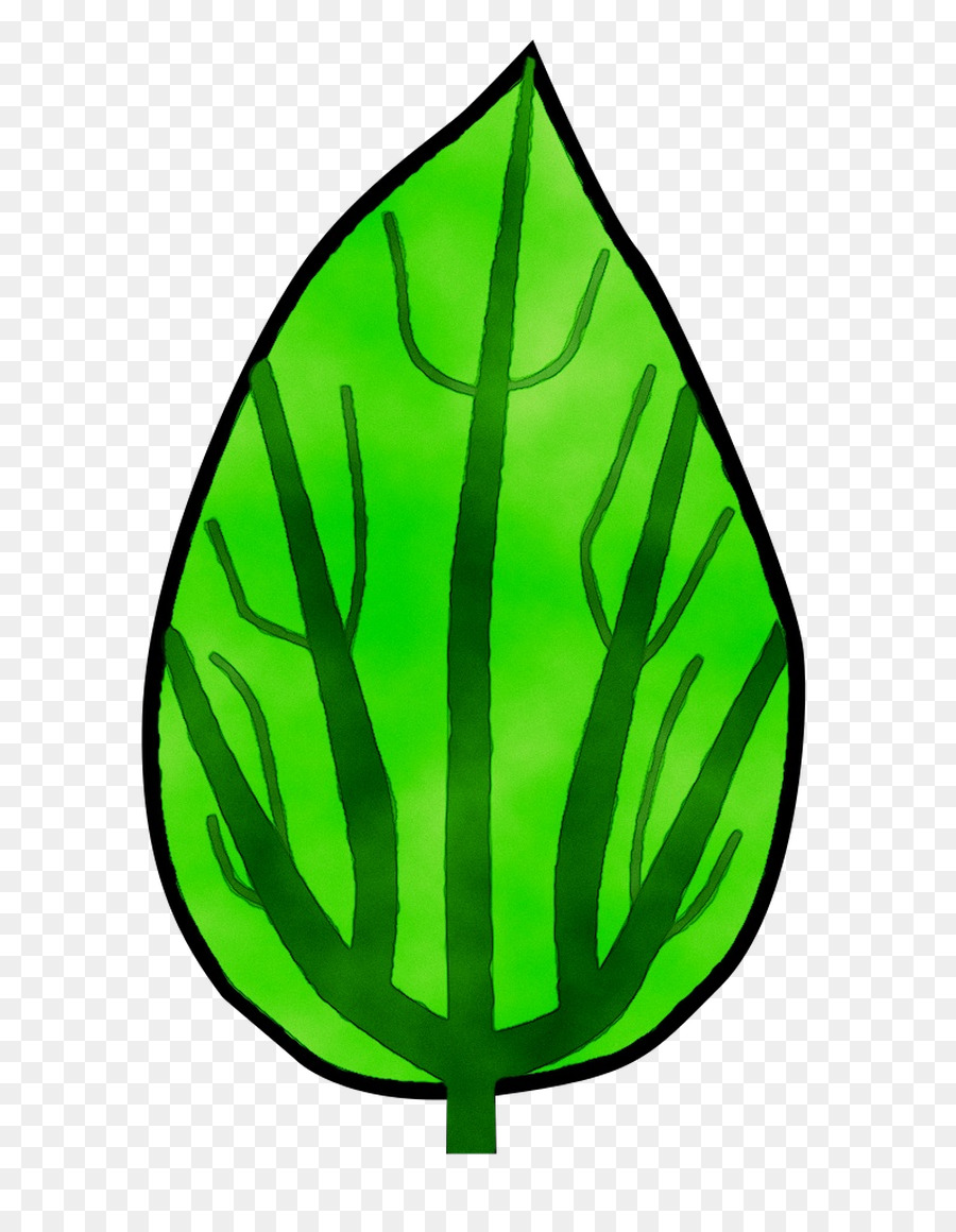 Feuille Verte，Usine PNG