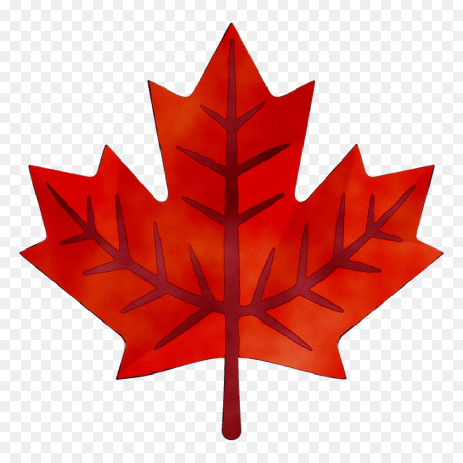 Canada，Drapeau Du Canada PNG