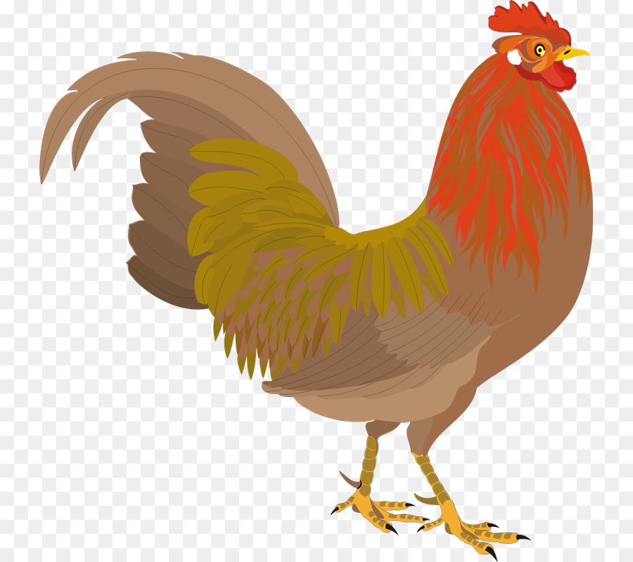 Poulet，Coq PNG