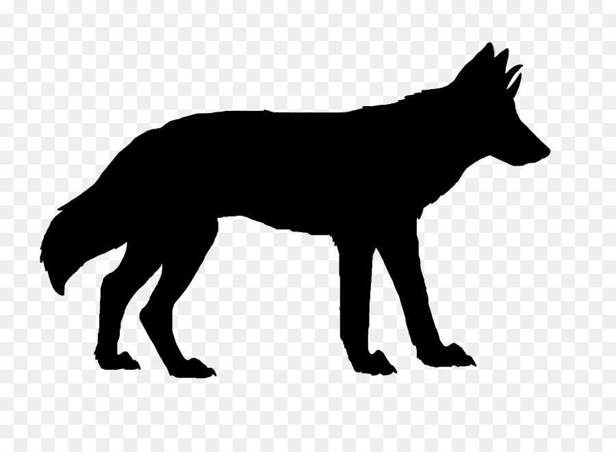 Silhouette De Loup，Canin PNG