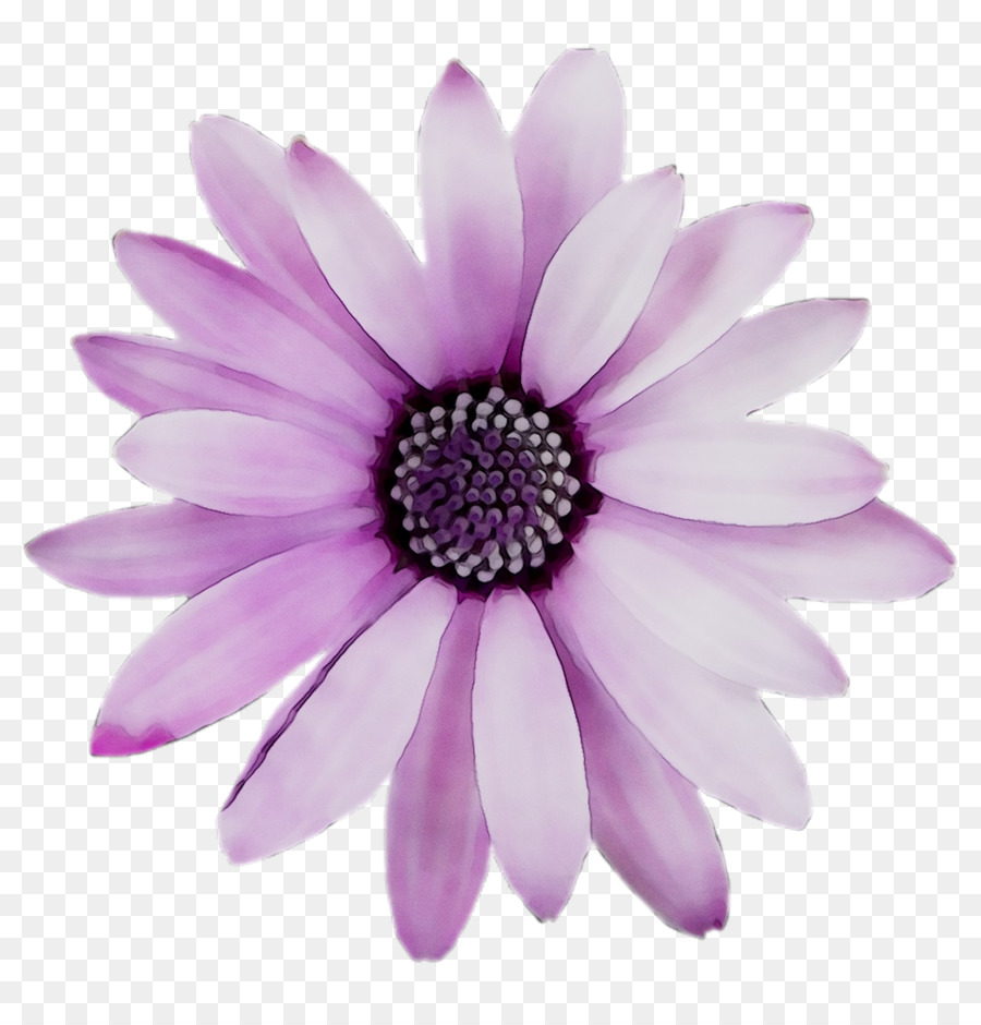 Fleur，Bleu PNG