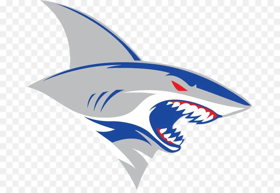 Requin，Logo PNG