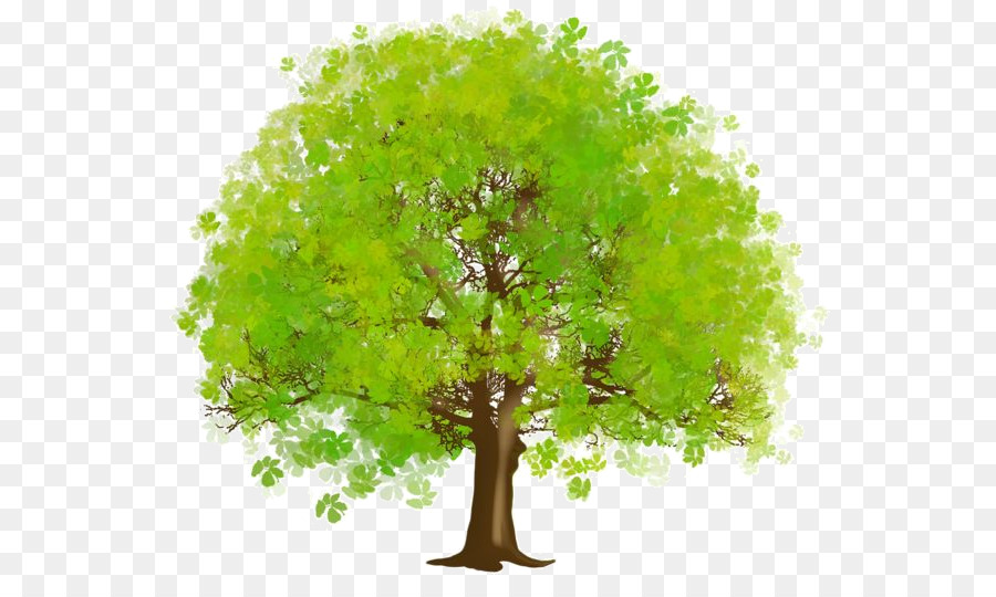 Arbre Vert，Feuilles PNG