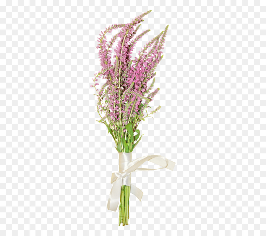 Fleur，La Lavande PNG