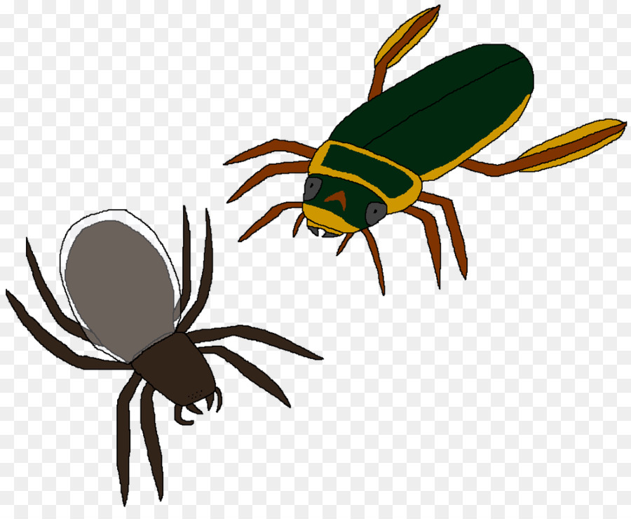 Scarabée，Plongée Beetle PNG