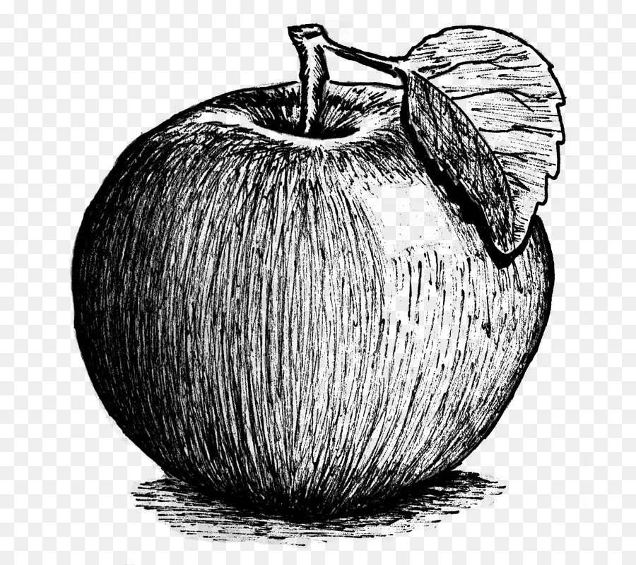 Pomme，Feuille PNG