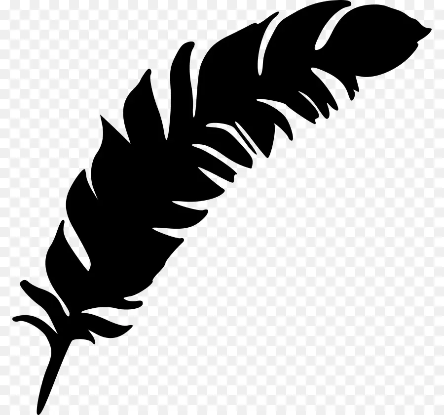 Plume，Noir PNG