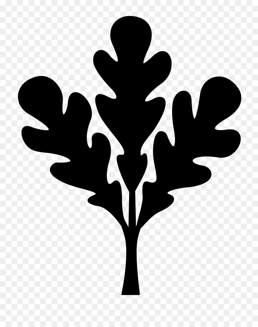 Silhouette De Plante，Feuilles PNG