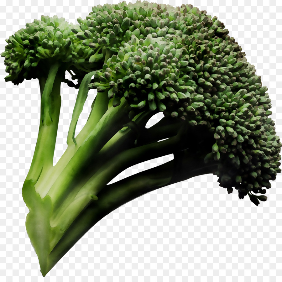 Brocoli Vert，En Bonne Santé PNG