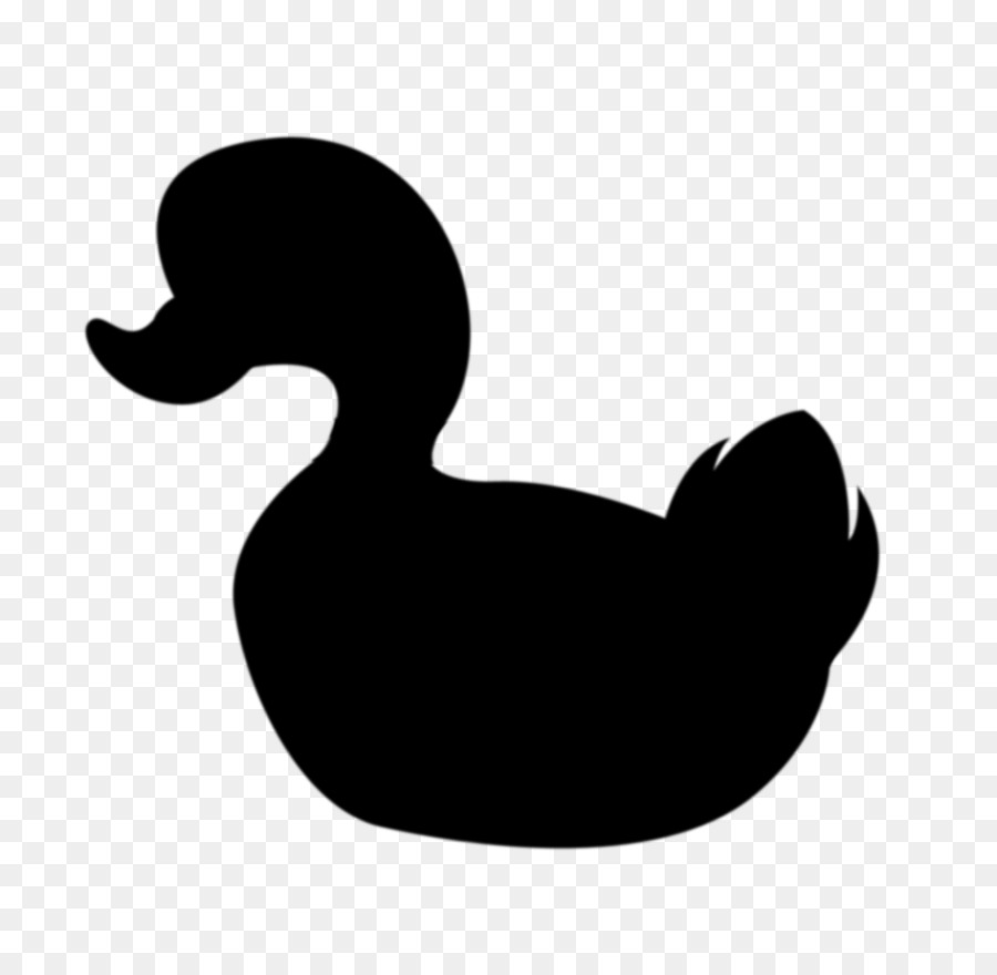 Canard Noir，Oiseau PNG