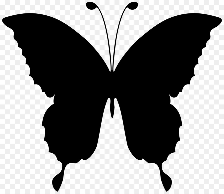 Papillon Noir，Insecte PNG