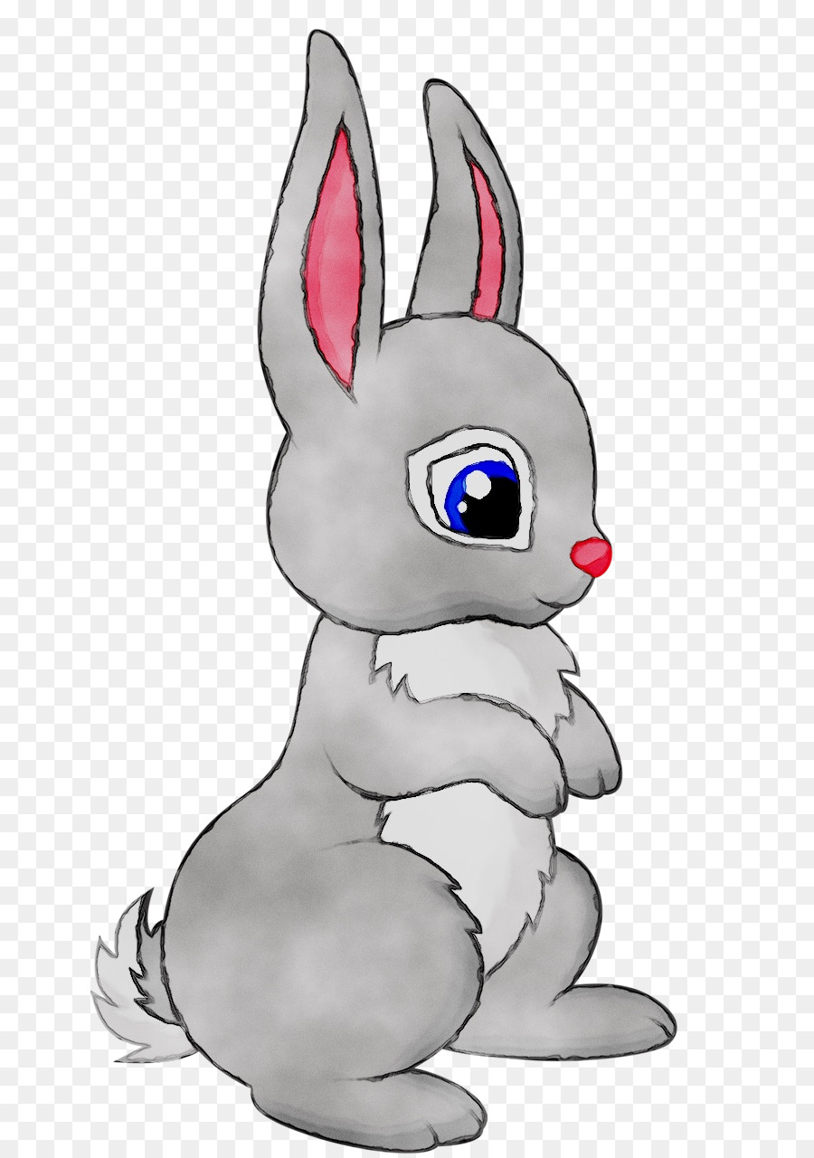 Lapin Gris，Lapin PNG