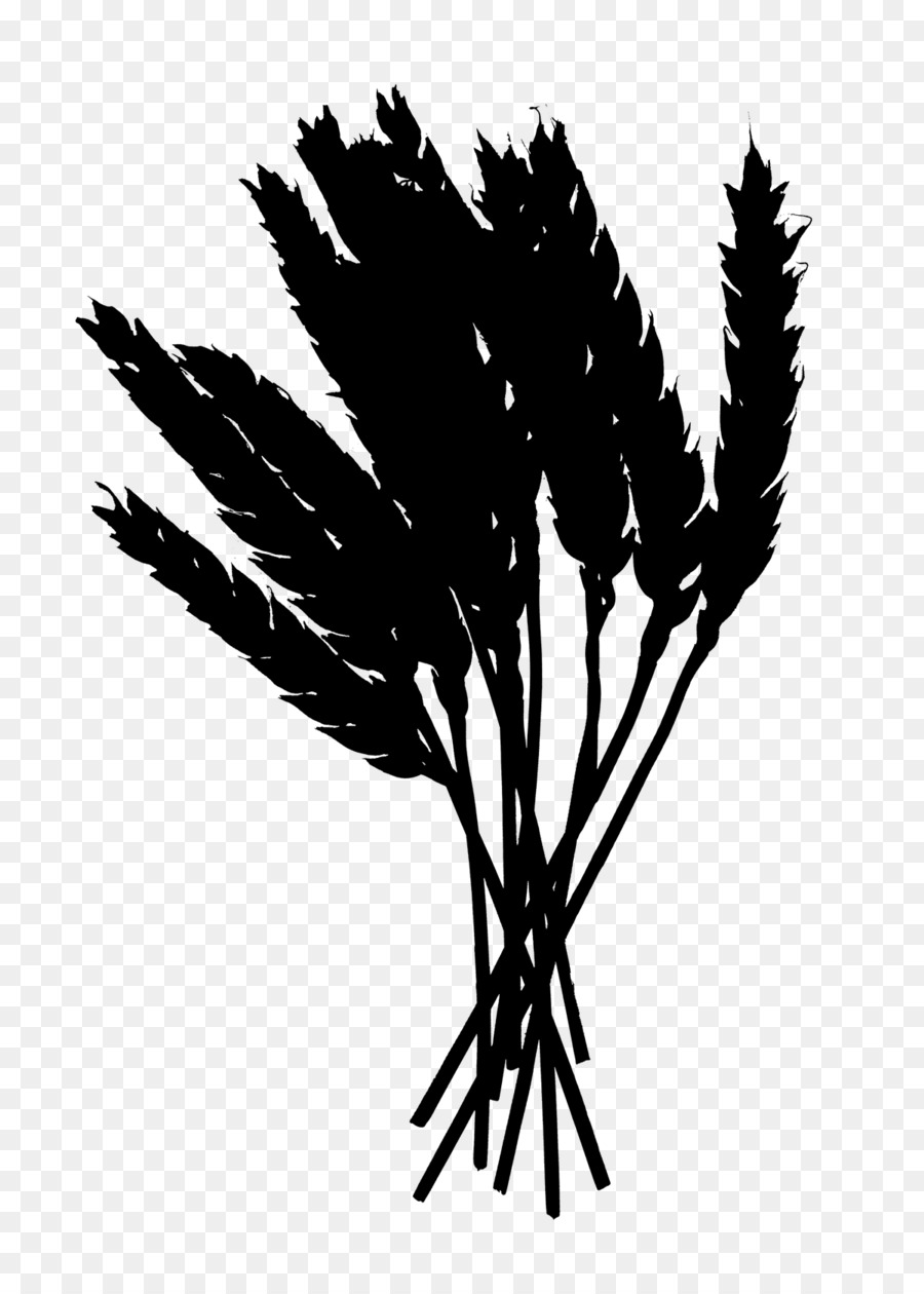 Les Palmiers，Noir PNG