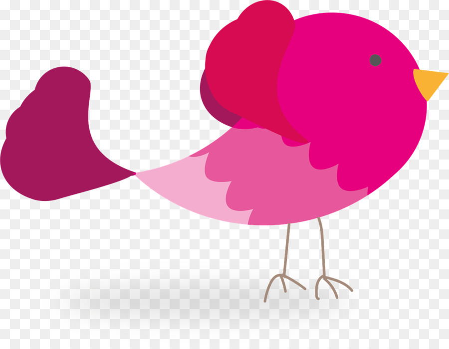 Oiseau Rose，Dessin Animé PNG