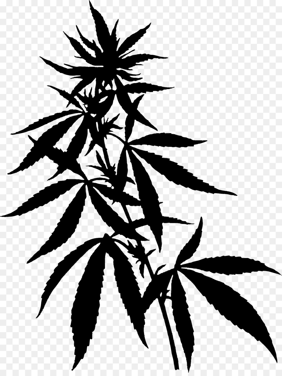 Silhouette De Plante，Silhouette PNG