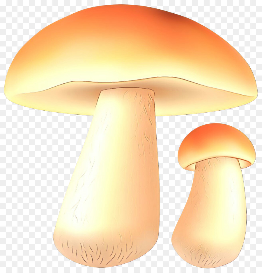 Champignons，Orange Sa PNG