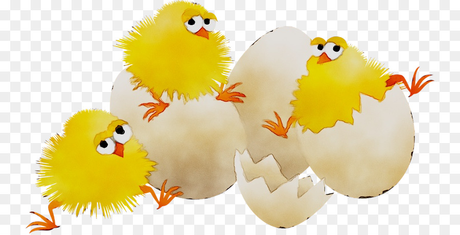 Poussins，Œufs PNG