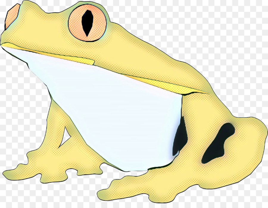 Vrai Grenouille，Grenouille PNG