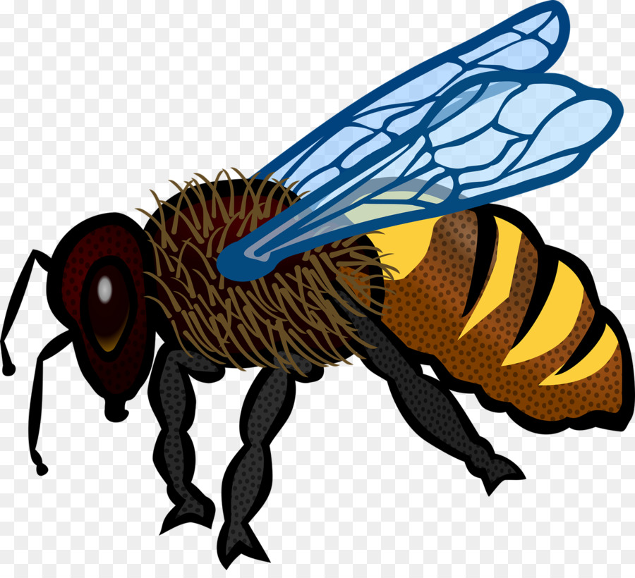 Abeille，Livre De Coloriage PNG