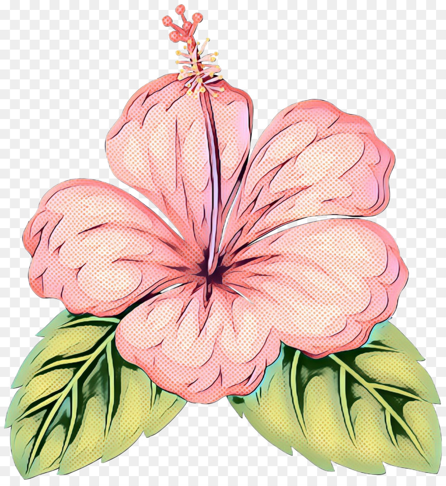 Rosemallows，Design Floral PNG