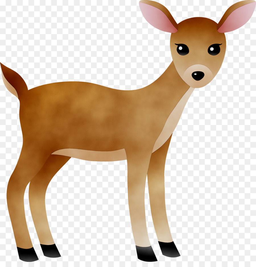 Cerf De Dessin Animé，Mignon PNG