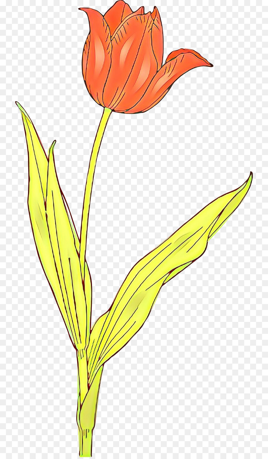 Fleur，Rouge PNG