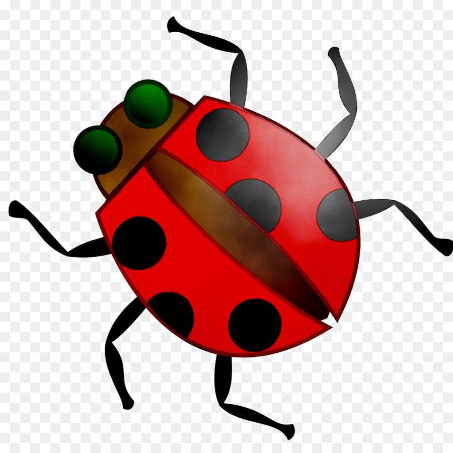 Coccinelle，Bogue PNG