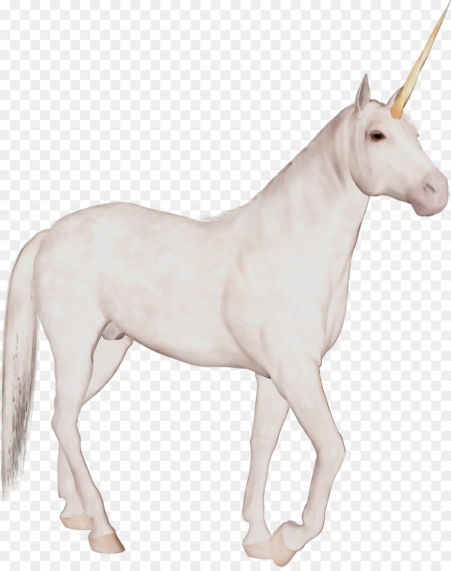 Licorne，Mythique PNG