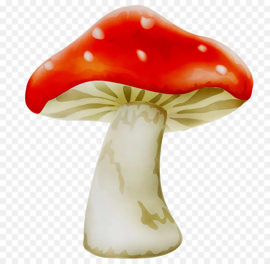 Champignons，Champignon De Paris PNG