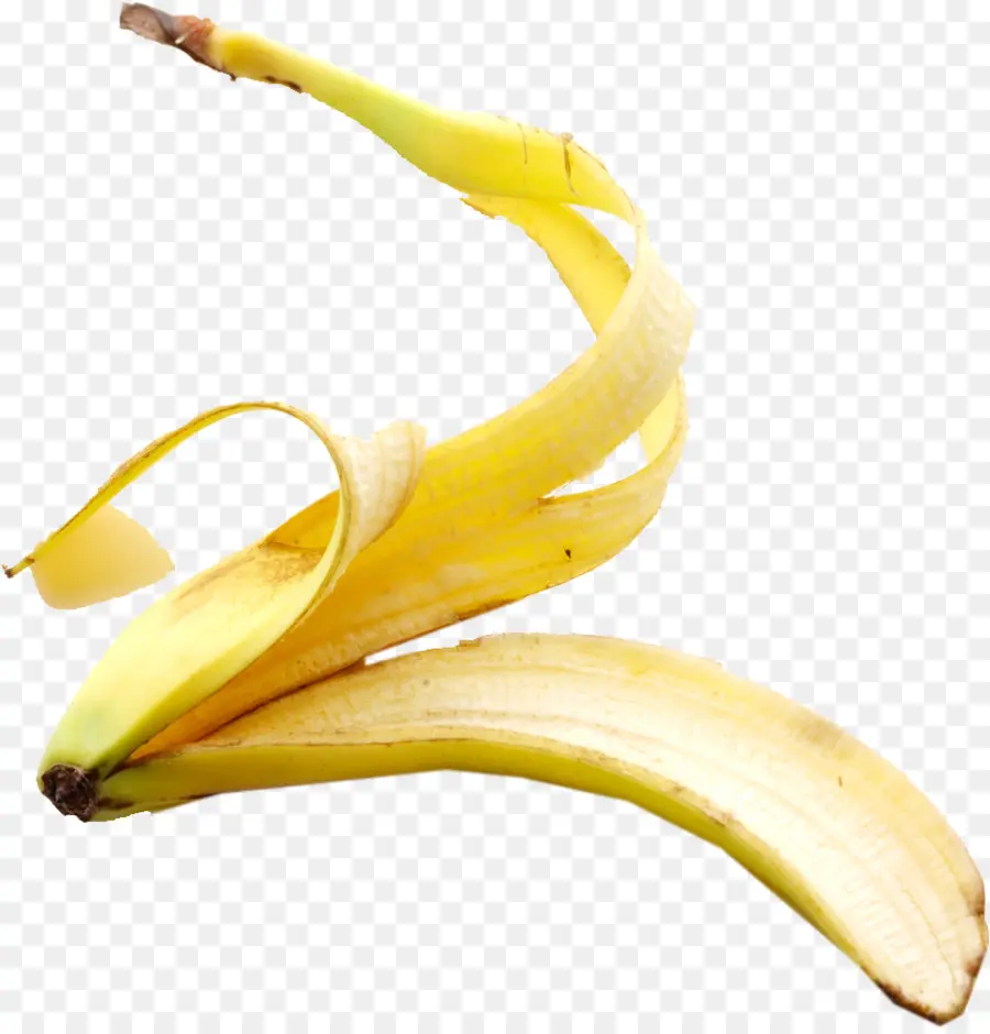 La Pelure De Banane，Peel PNG