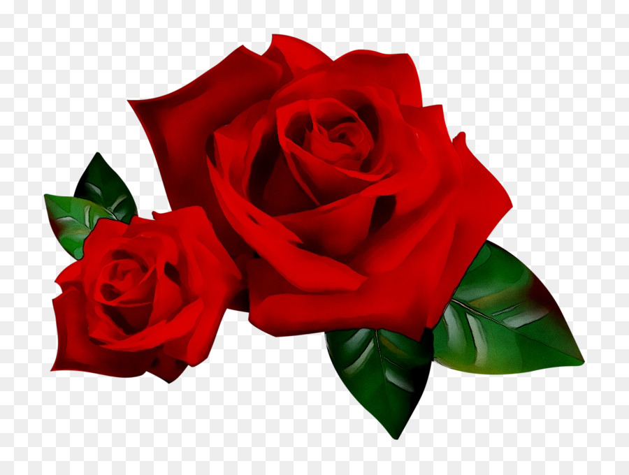 Rose，Rouge PNG