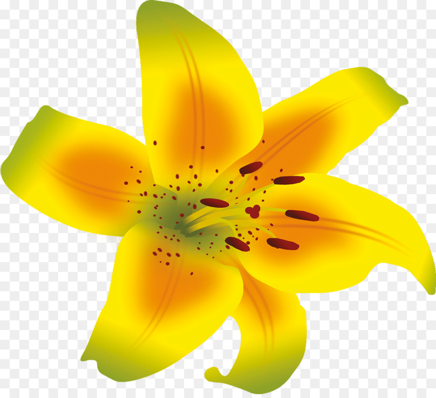 Le Pollen，Hémérocalle PNG