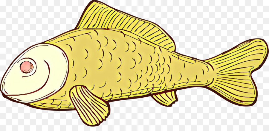 Poisson，Aquatique PNG